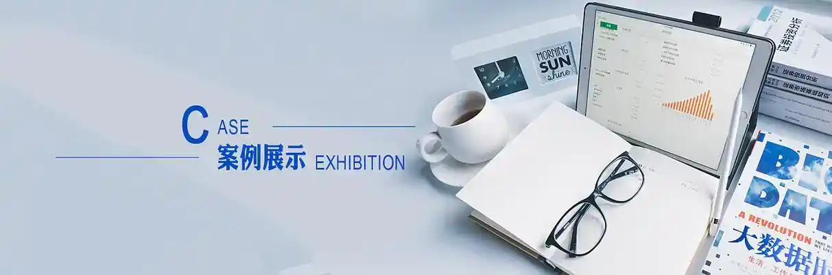 丁青县软件开发